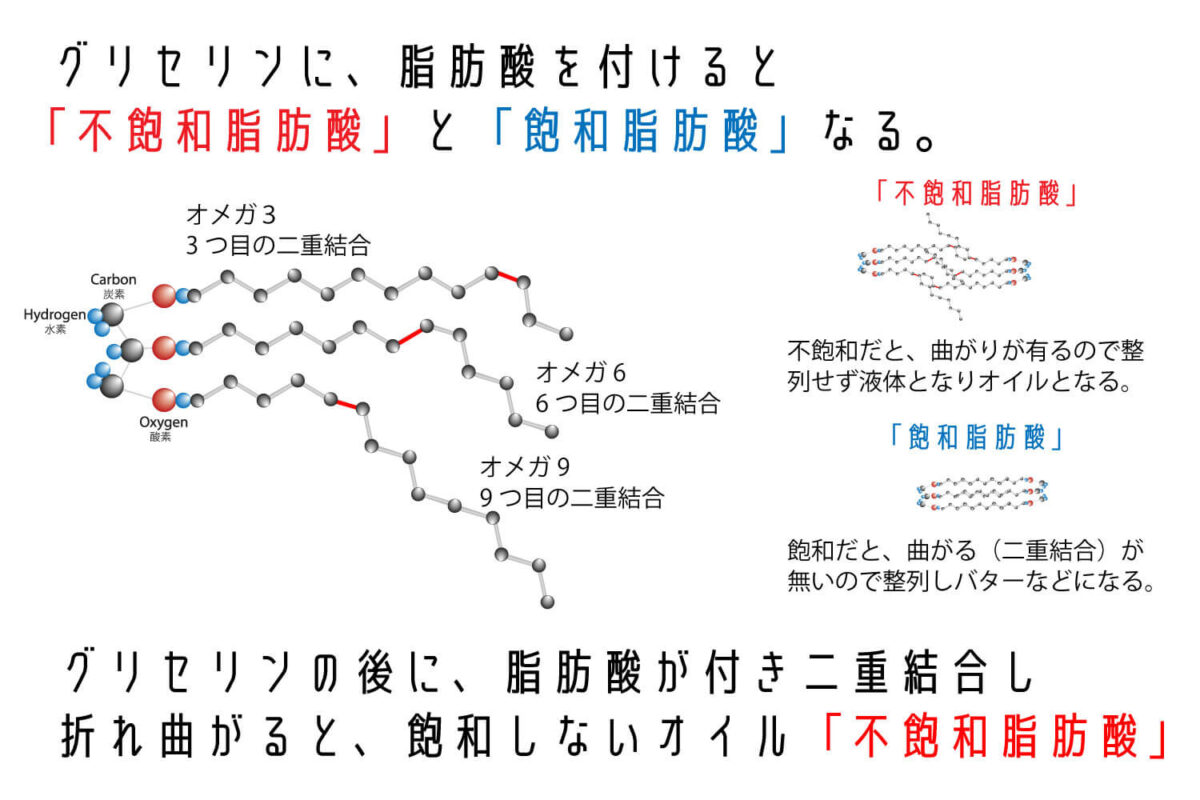 不飽和脂肪酸・飽和脂肪酸
