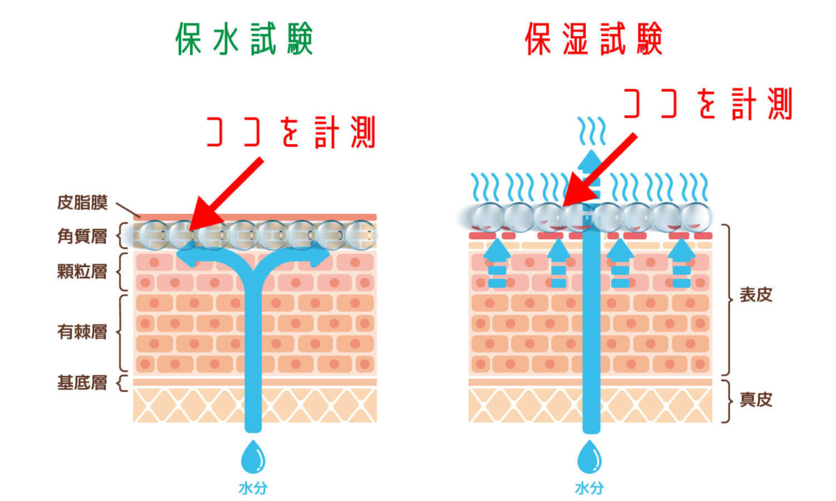 保水・保湿試験