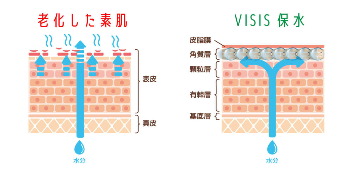 素肌と保水