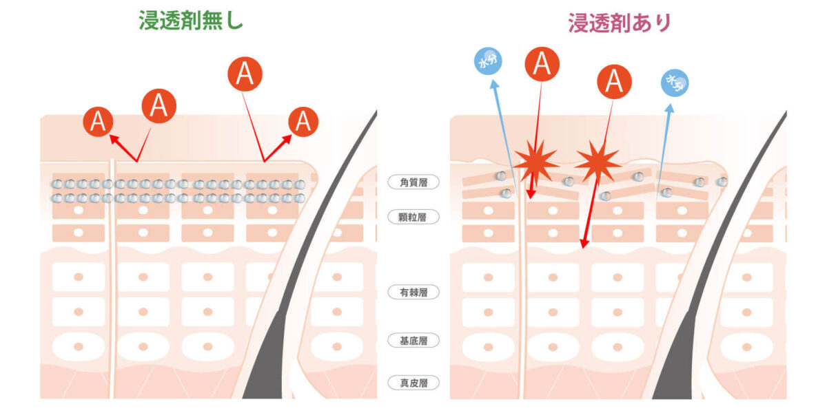 レチノール浸透