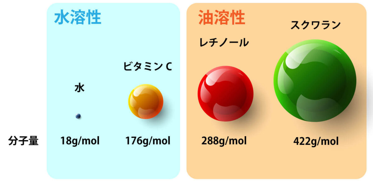 分子量