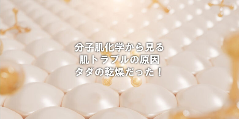 分子肌化学から見る肌荒れ
