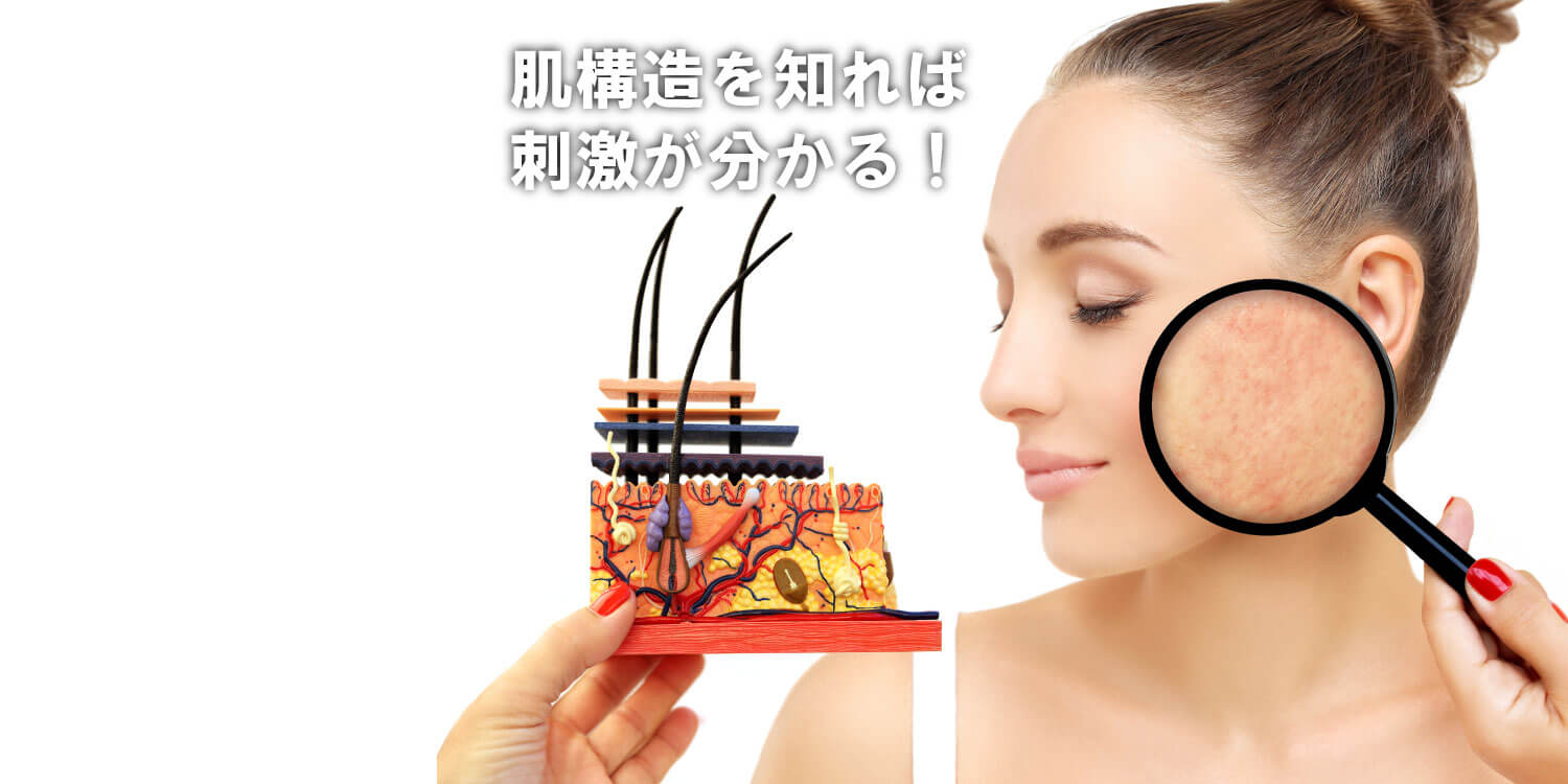 あなたが現在見ているのは 肌構造から見る、刺激❗本当の理由
