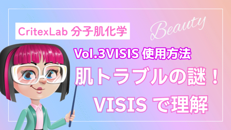 VISISの使用方法