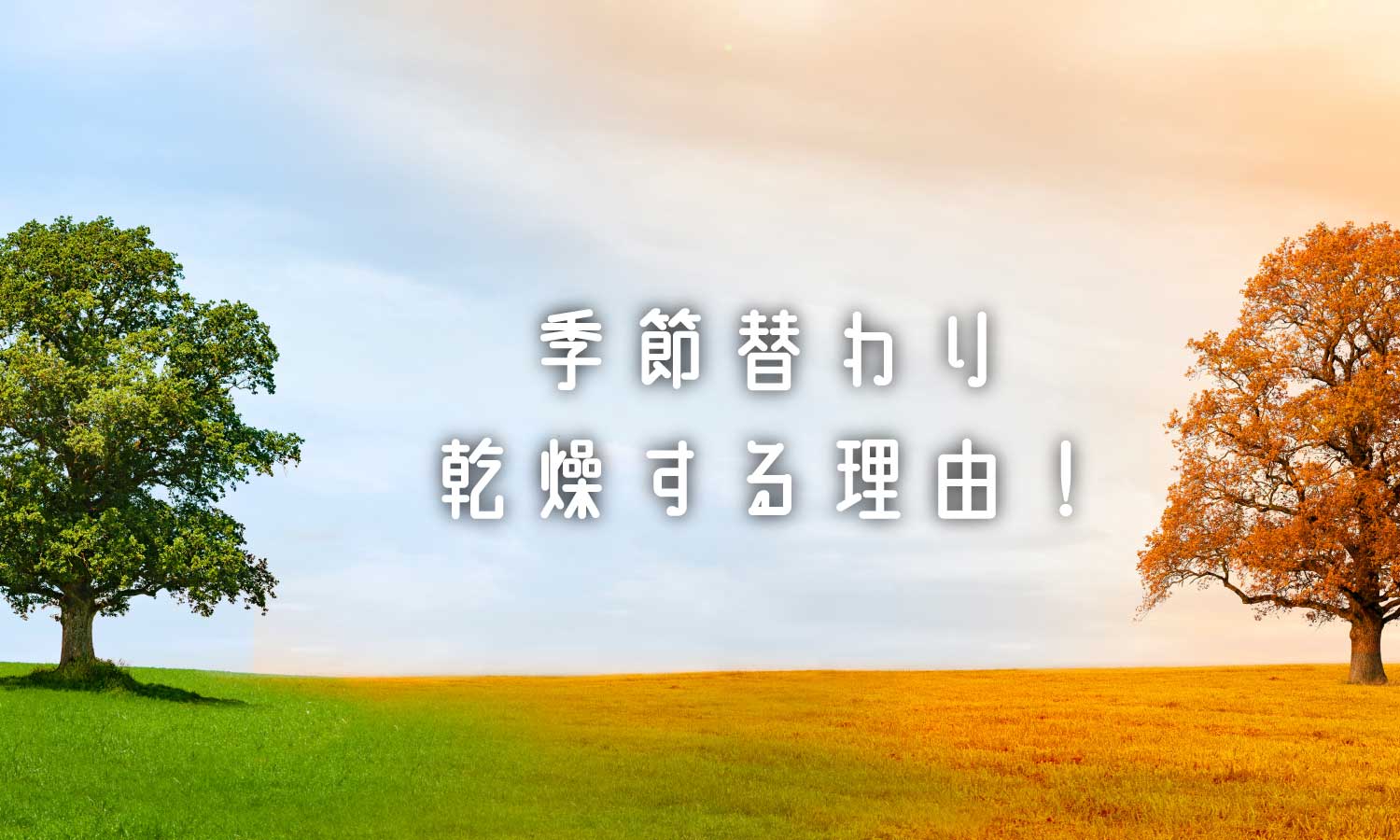 あなたが現在見ているのは 季節替わりの角質の変化❗