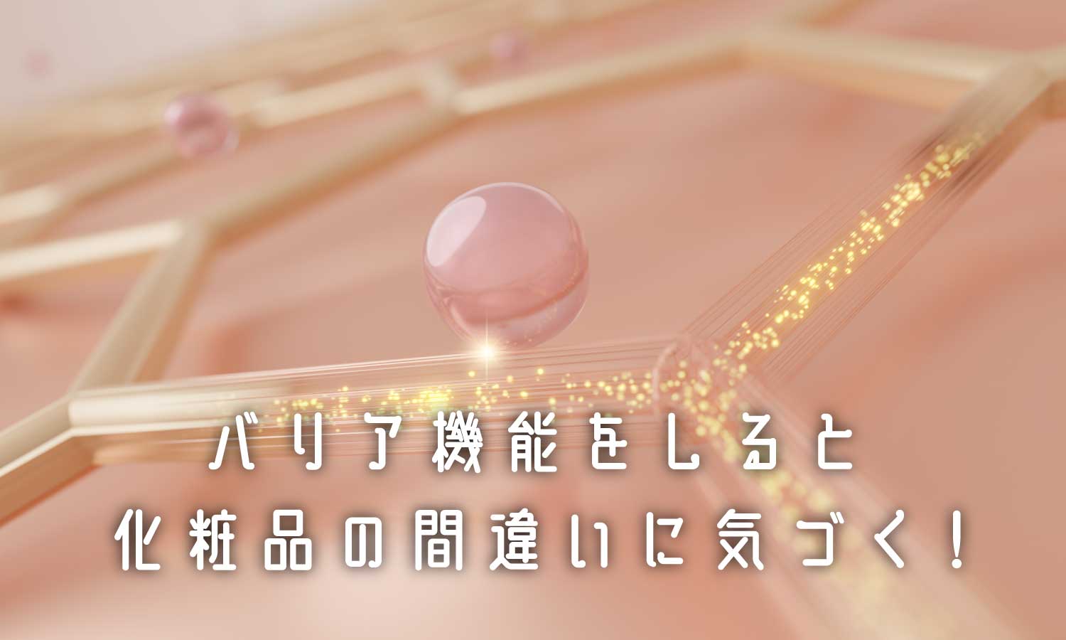 あなたが現在見ているのは 肌のバリア機能、選択障壁とは❓